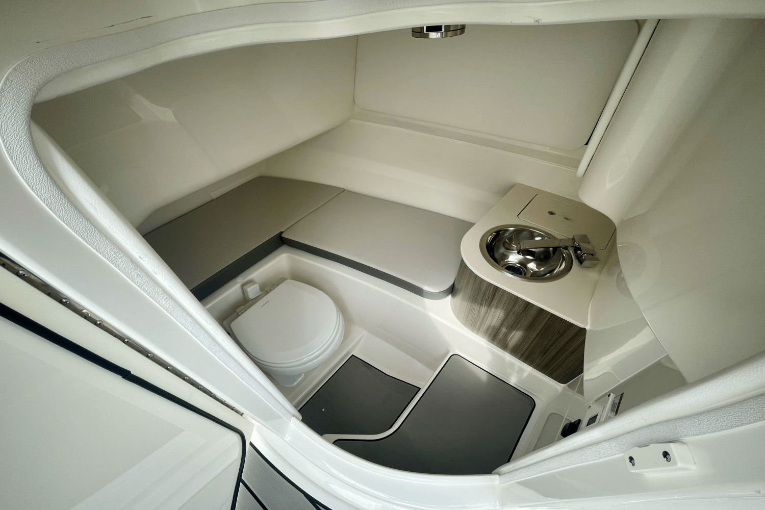 Slide: The Image of Sea Ray SDX 250 Outboard 2025 - 16