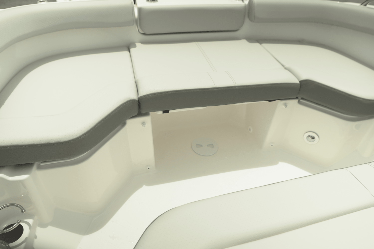 Slide: The Image of Sea Ray SDX 250 Outboard 2025 - 22