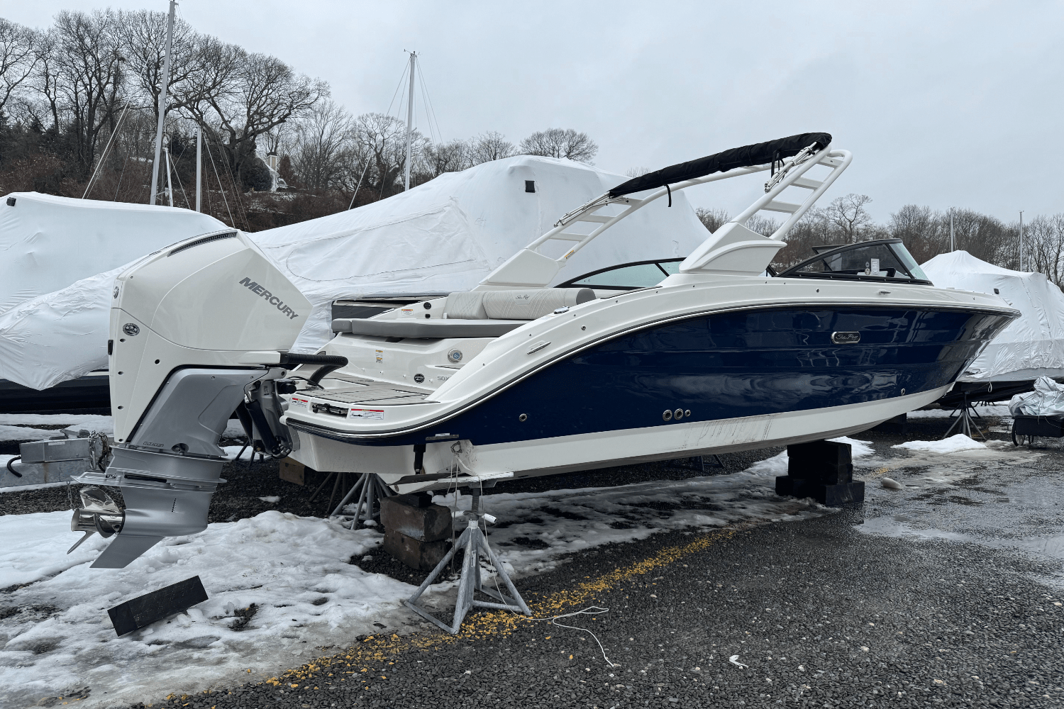 Slide: The Image of Sea Ray SDX 250 Outboard 2025 - 3