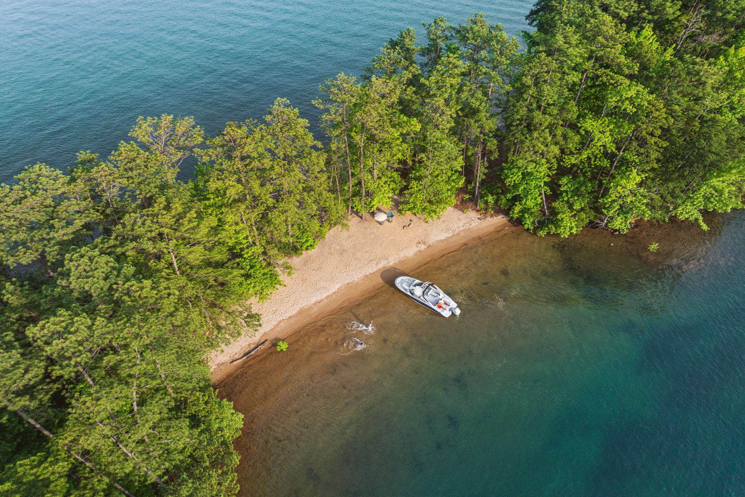 Slide: The Image of Sea Ray SDX 250 Outboard 2025 - 38