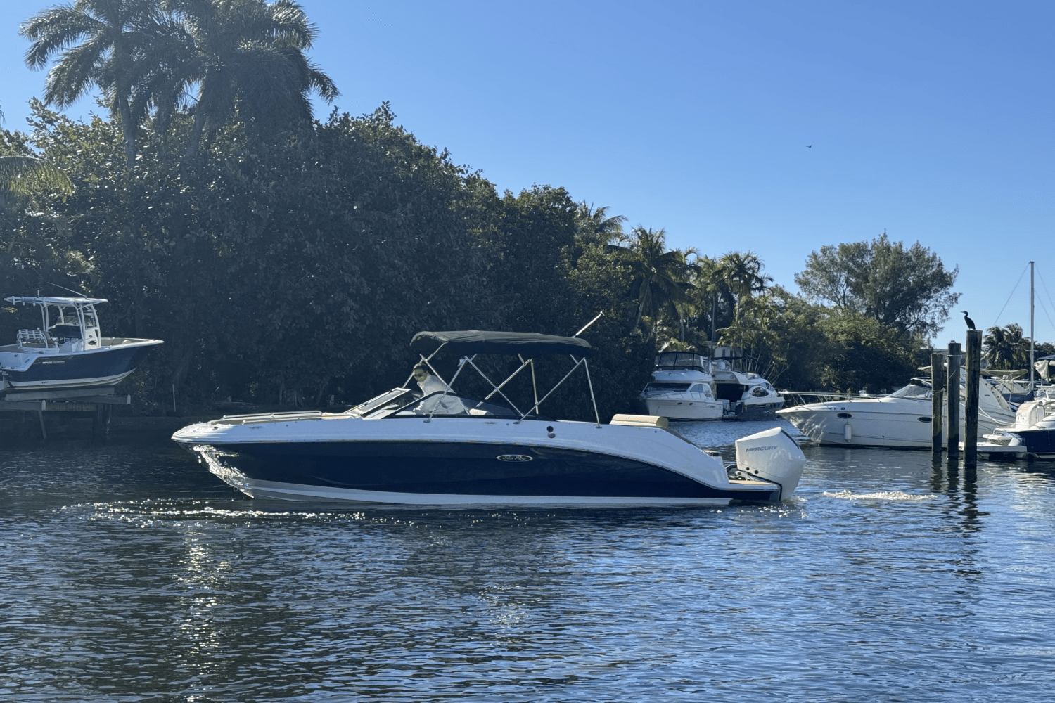 Slide: The Image of Sea Ray SDX 250 Outboard 2025 - 4