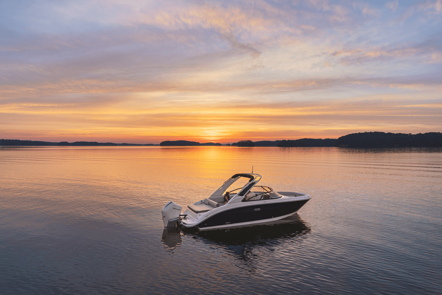 Slide: The Image of Sea Ray SDX 250 Outboard 2025 - 43