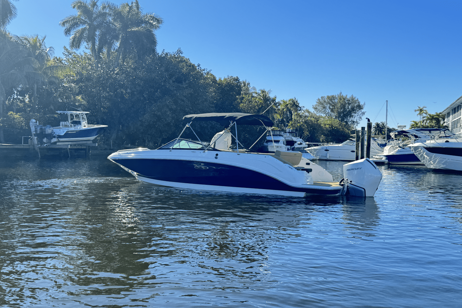 Slide: The Image of Sea Ray SDX 250 Outboard 2025 - 5