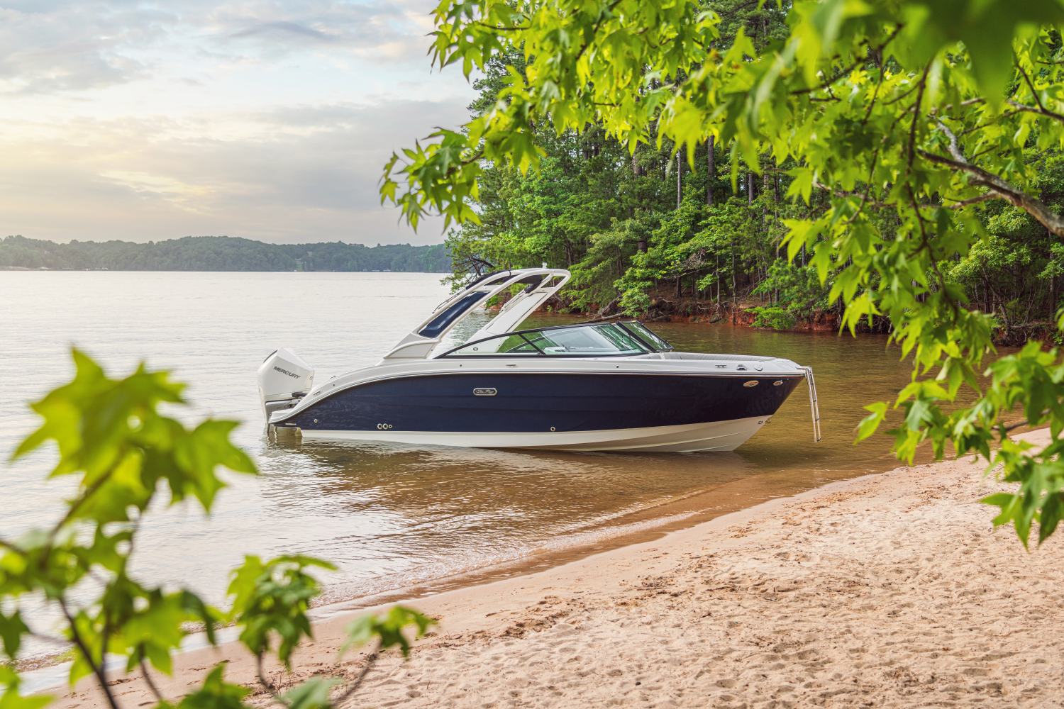 Slide: The Image of Sea Ray SDX 250 Outboard 2025 - 55