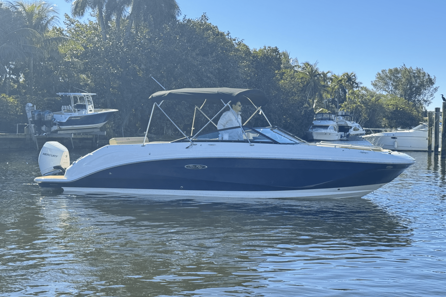 Slide: The Image of Sea Ray SDX 250 Outboard 2025 - 7