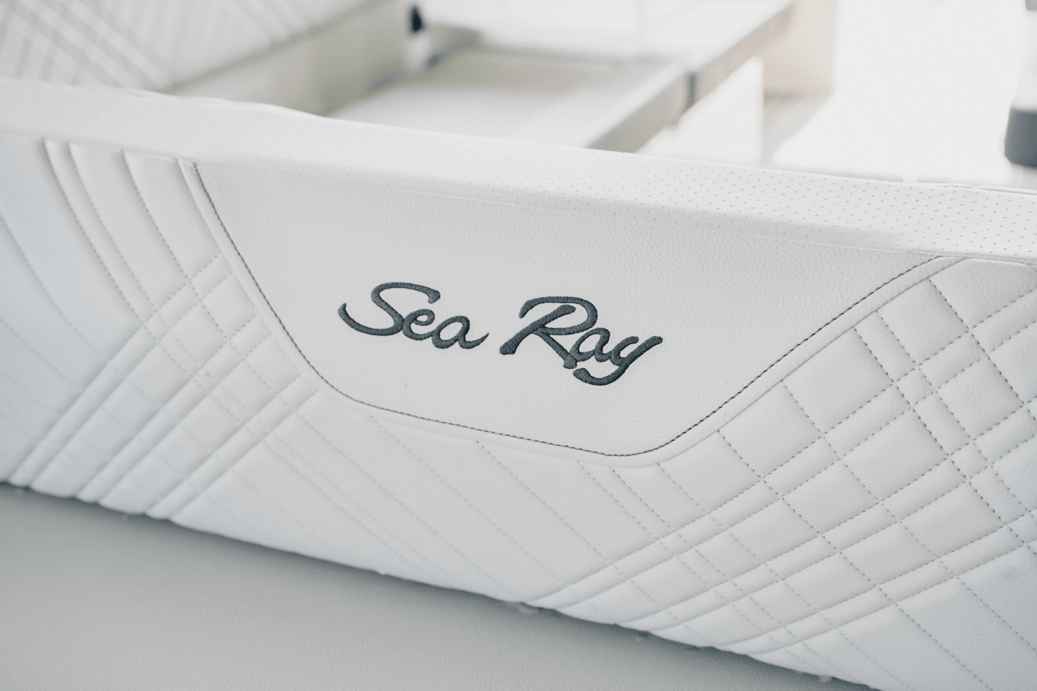 Slide: The Image of Sea Ray SDX 270 2025 - 33