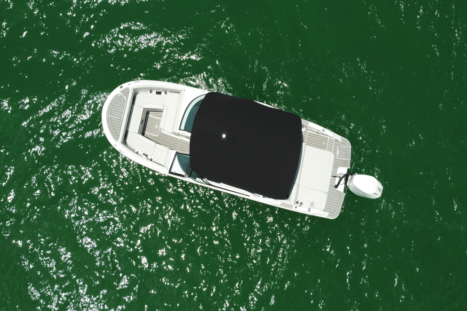 Slide: The Image of Sea Ray SDX 270 Outboard 2025 - 12