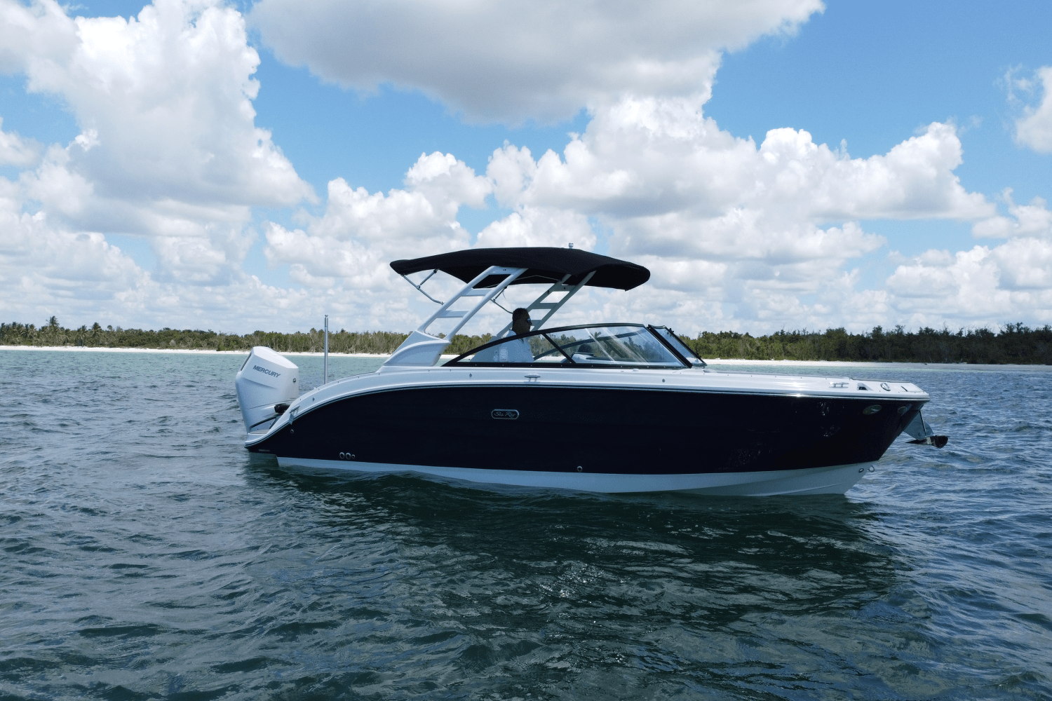 Slide: The Image of Sea Ray SDX 270 Outboard 2025 - 3