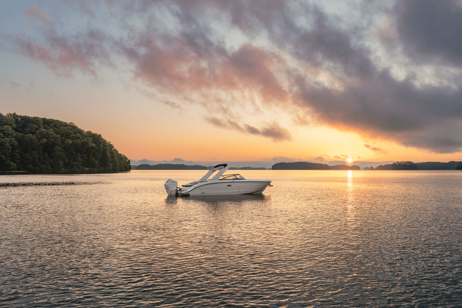 Slide: The Image of Sea Ray SDX 270 Outboard 2025 - 41