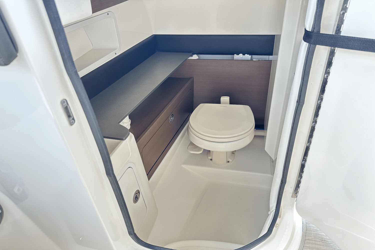 Slide: The Image of Sea Ray SDX 290 Outboard 2021 - 19