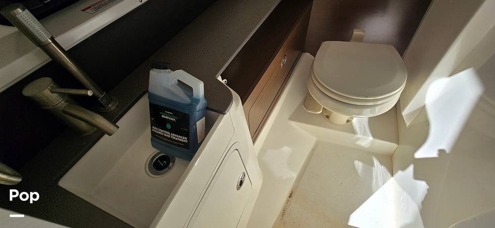 Slide: The Image of Sea Ray SDX 290 Outboard 2023 - 125