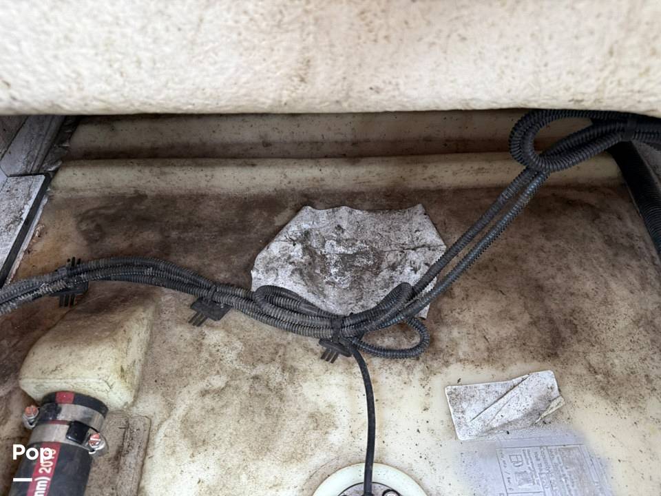 Slide: The Image of Sea Ray SLX 230 2020 - 15508021