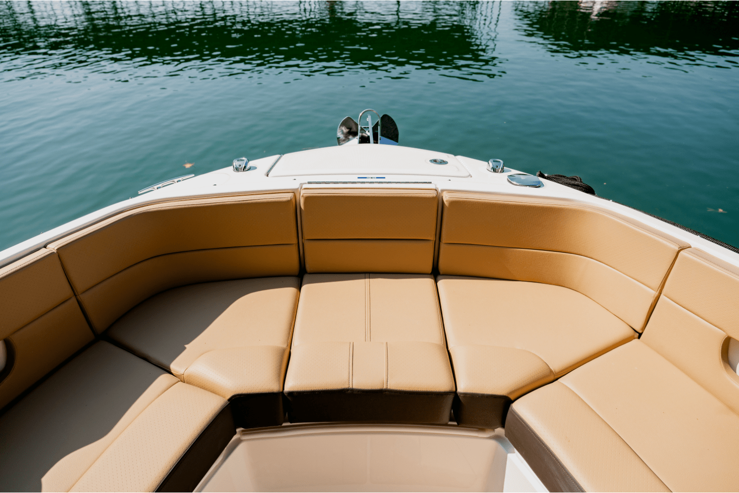 Slide: The Image of Sea Ray SLX 310 2025 - 11