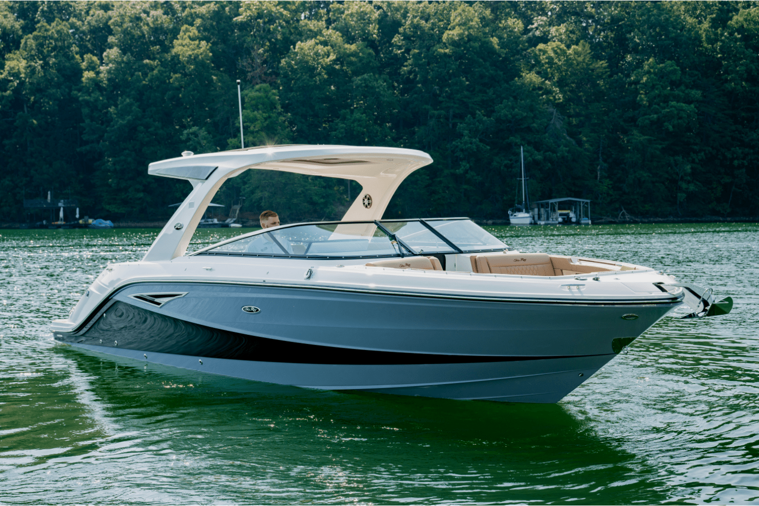 Slide: The Image of Sea Ray SLX 310 2025 - 5