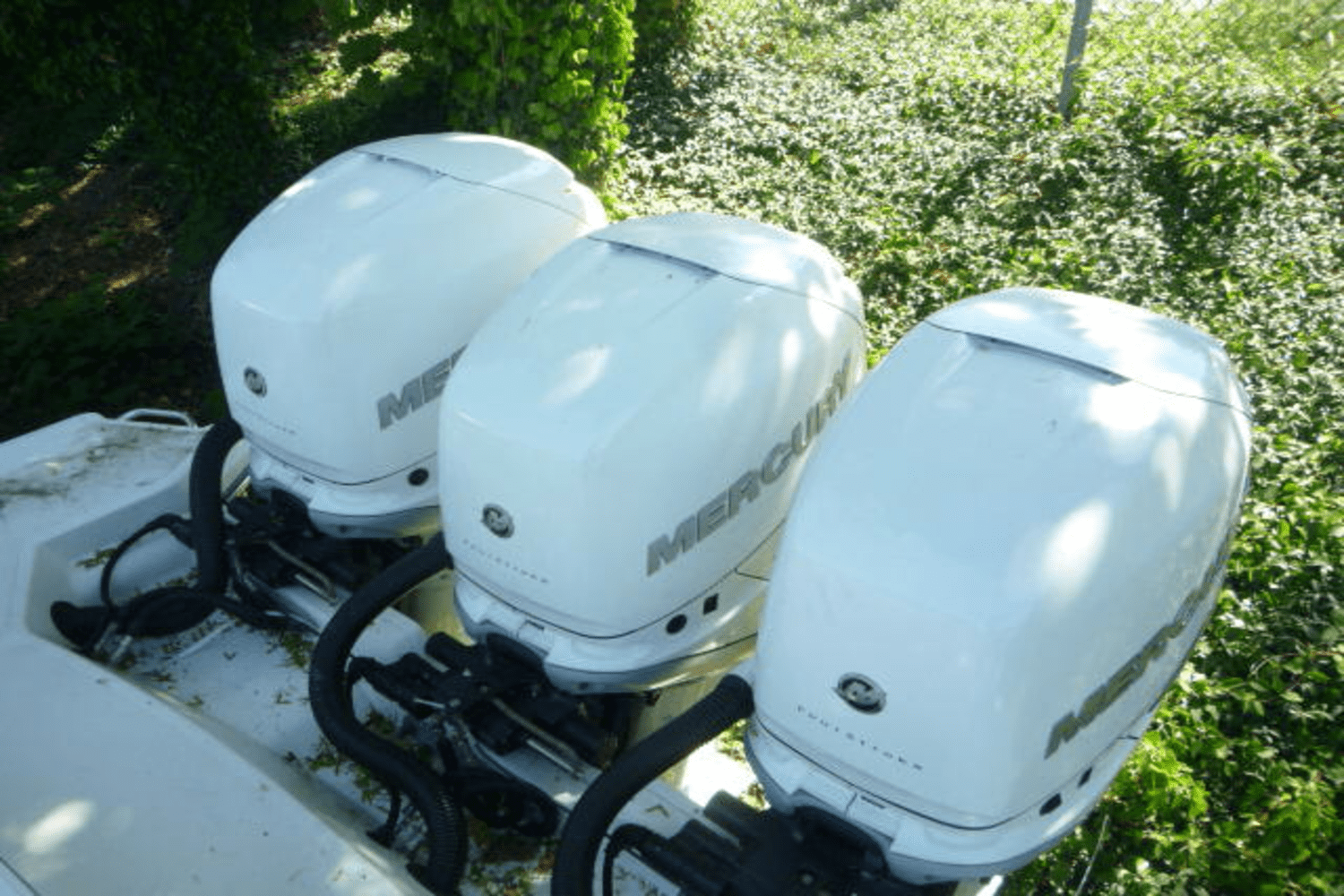 Slide: The Image of Sea Ray SLX 350 Outboard 2017 - 44