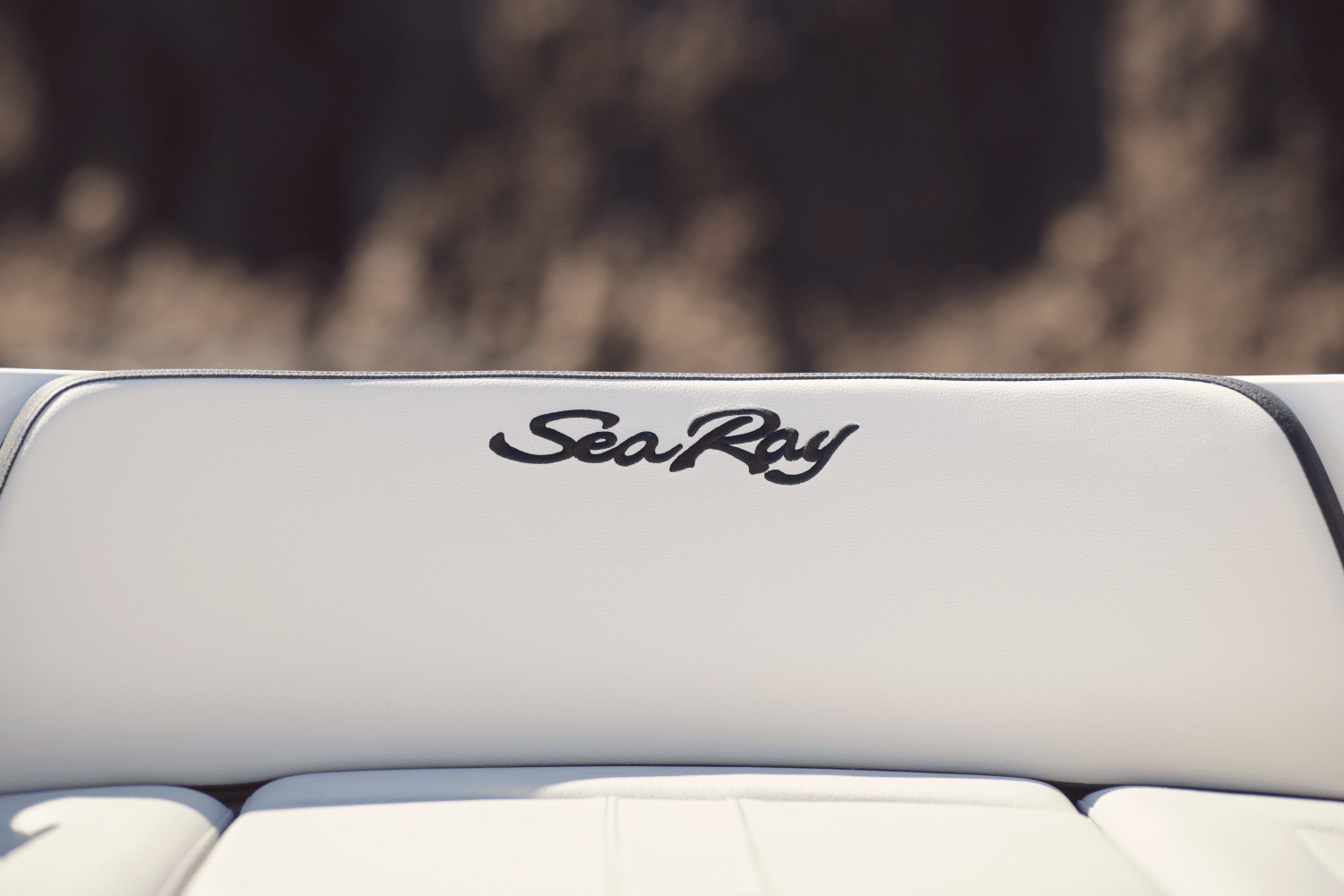 Slide: The Image of Sea Ray SPX 210 Outboard 2024 - 24