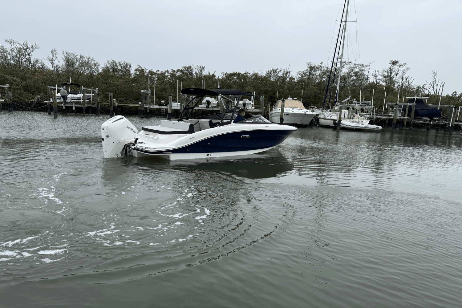 Slide: The Image of Sea Ray SPX 210 Outboard 2025 - 12