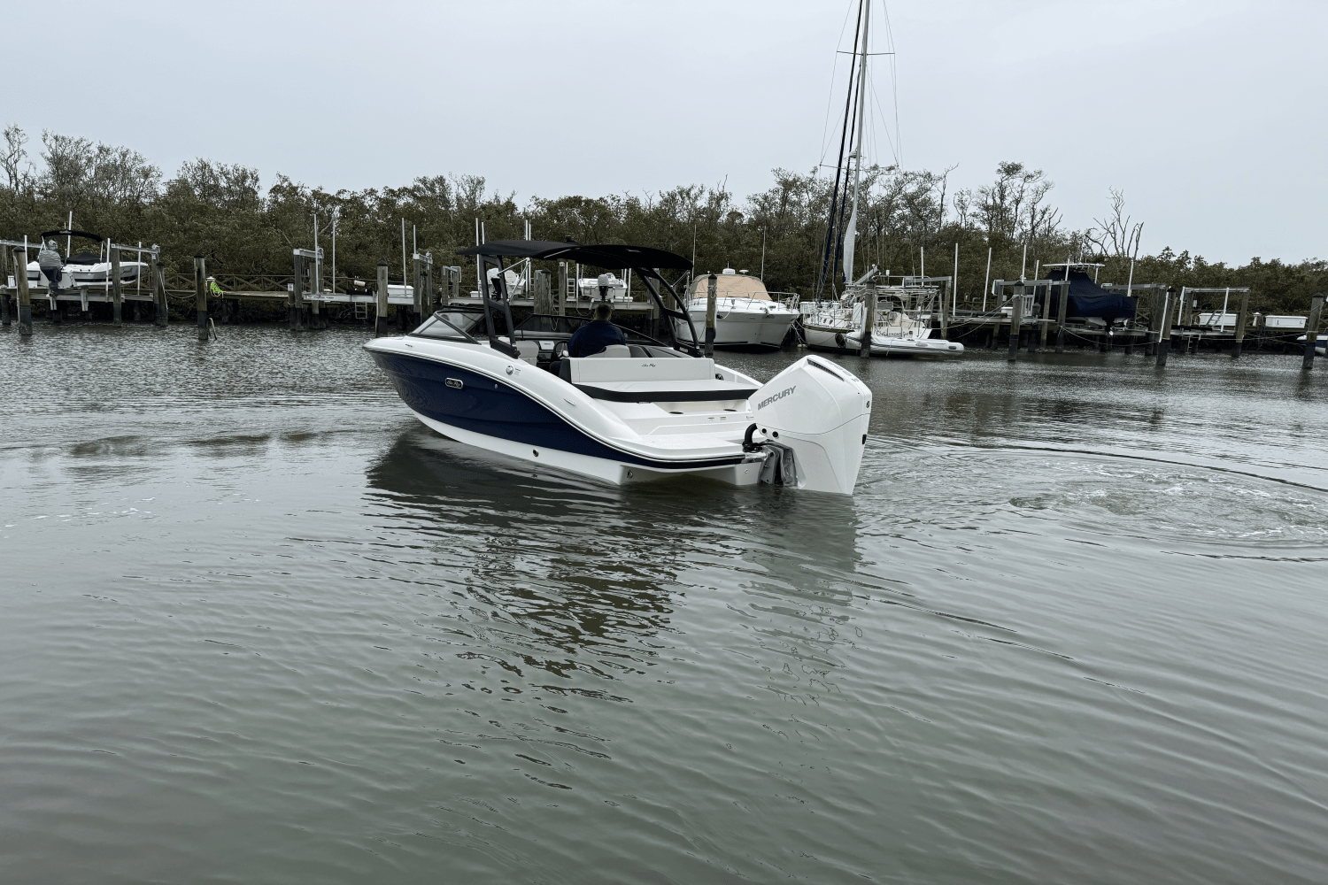 Slide: The Image of Sea Ray SPX 210 Outboard 2025 - 5