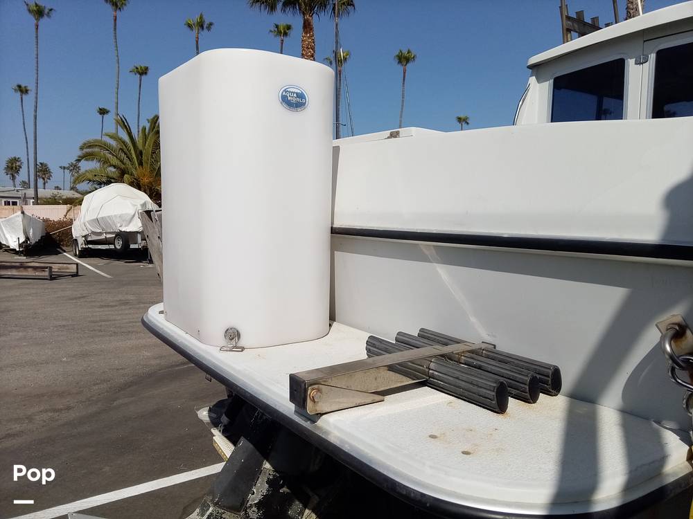 Slide: The Image of Sea Sport Sportsman 2200 1988 - 14159667