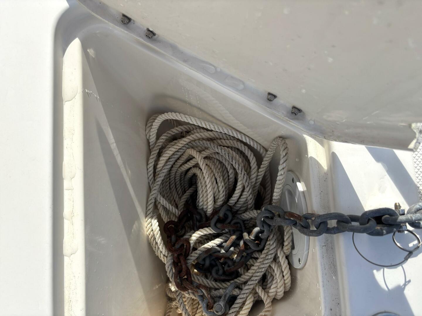 Slide: The Image of Seaswirl 2601 1997 - 5694062