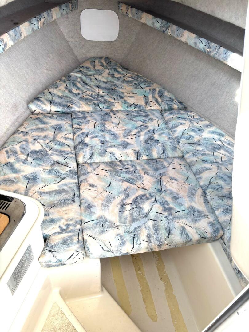 Slide: The Image of Seaswirl 2601 1997 - 5694076