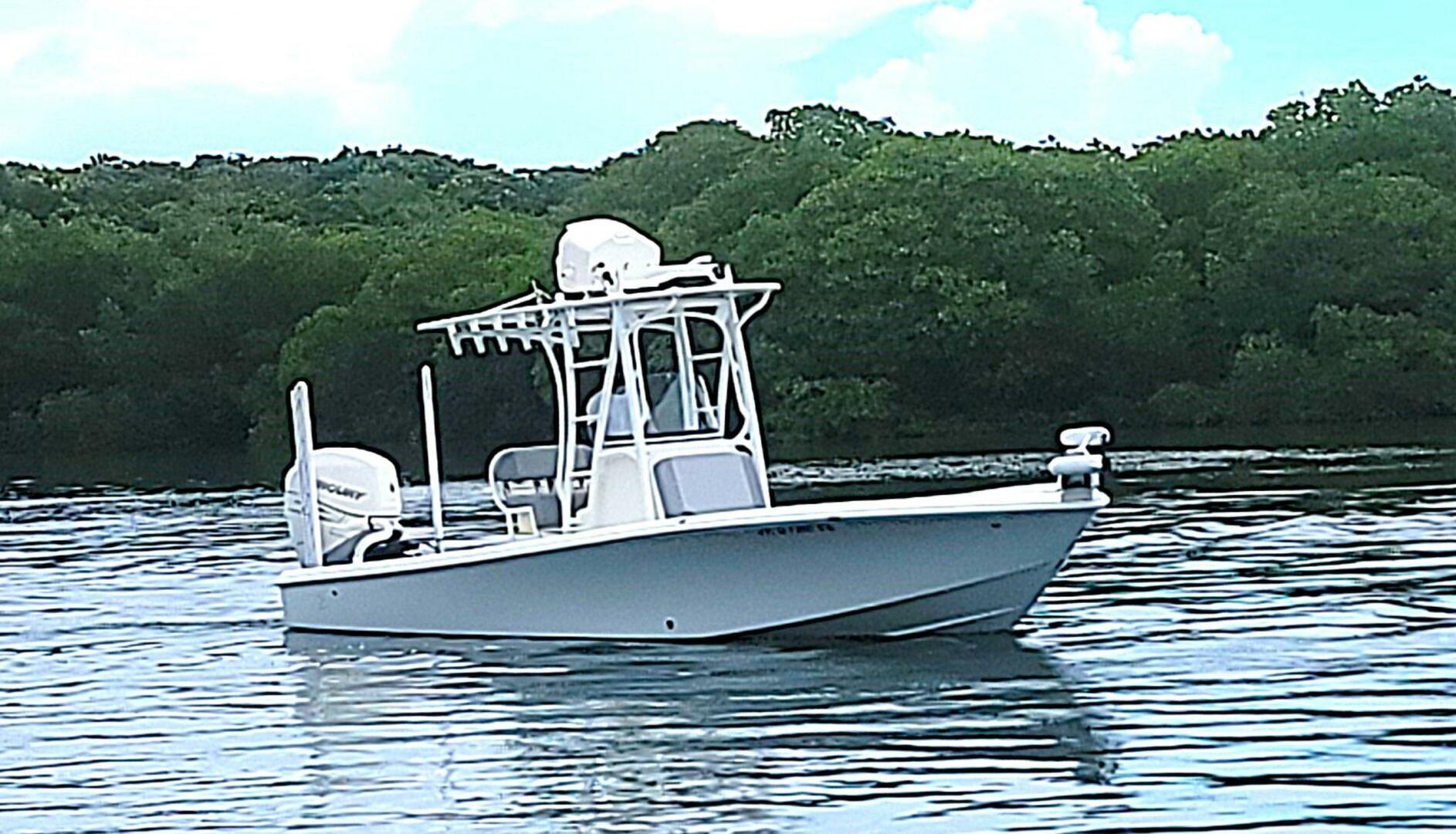 Slide: The Image of SeaVee 270Z 2017 - 4698641