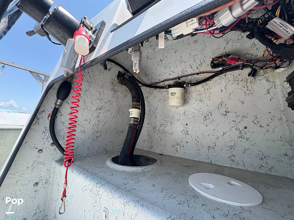 Slide: The Image of Shallow Stalker Cat 204 Pro 2023 - 15741132