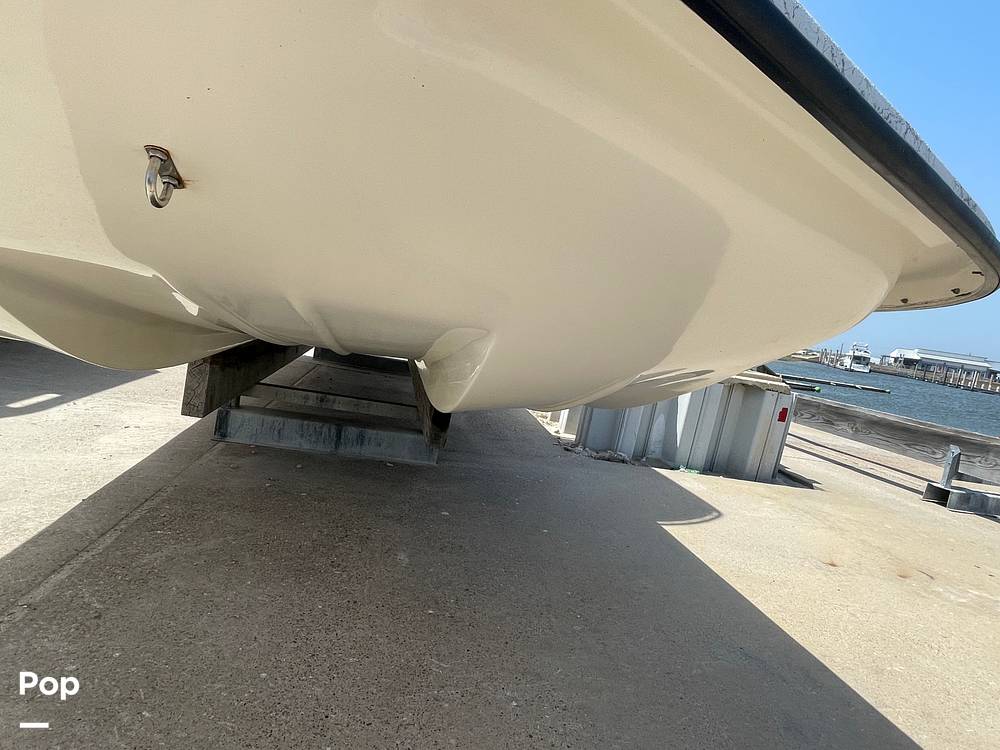 Slide: The Image of Shallow Stalker Cat 240 Pro 2018 - 15314376