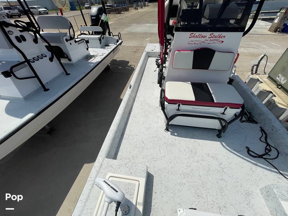 Slide: The Image of Shallow Stalker Cat 240 Pro 2018 - 15314528
