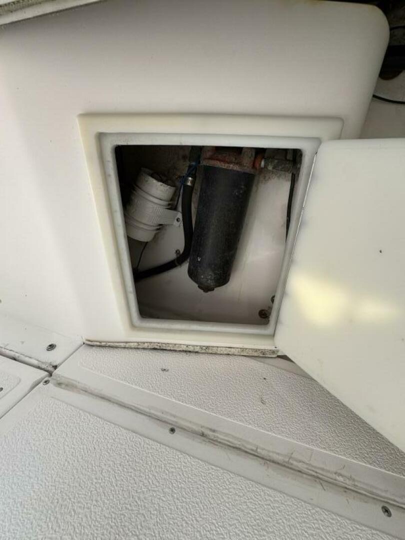 Slide: The Image of Shamrock 20 1991 - 5347645