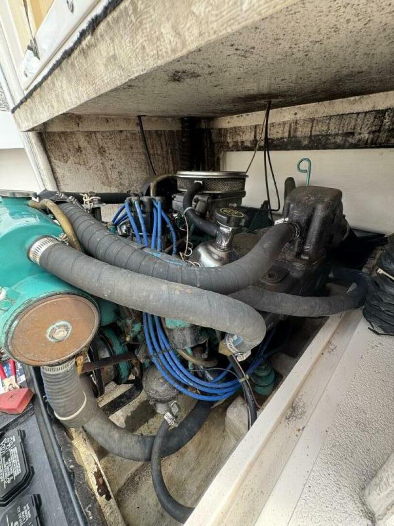 Slide: The Image of Shamrock 20 1991 - 5347649