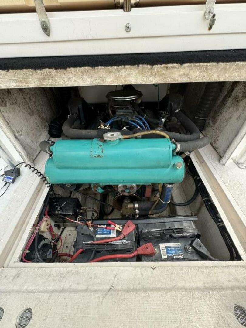 Slide: The Image of Shamrock 20 1991 - 5347650