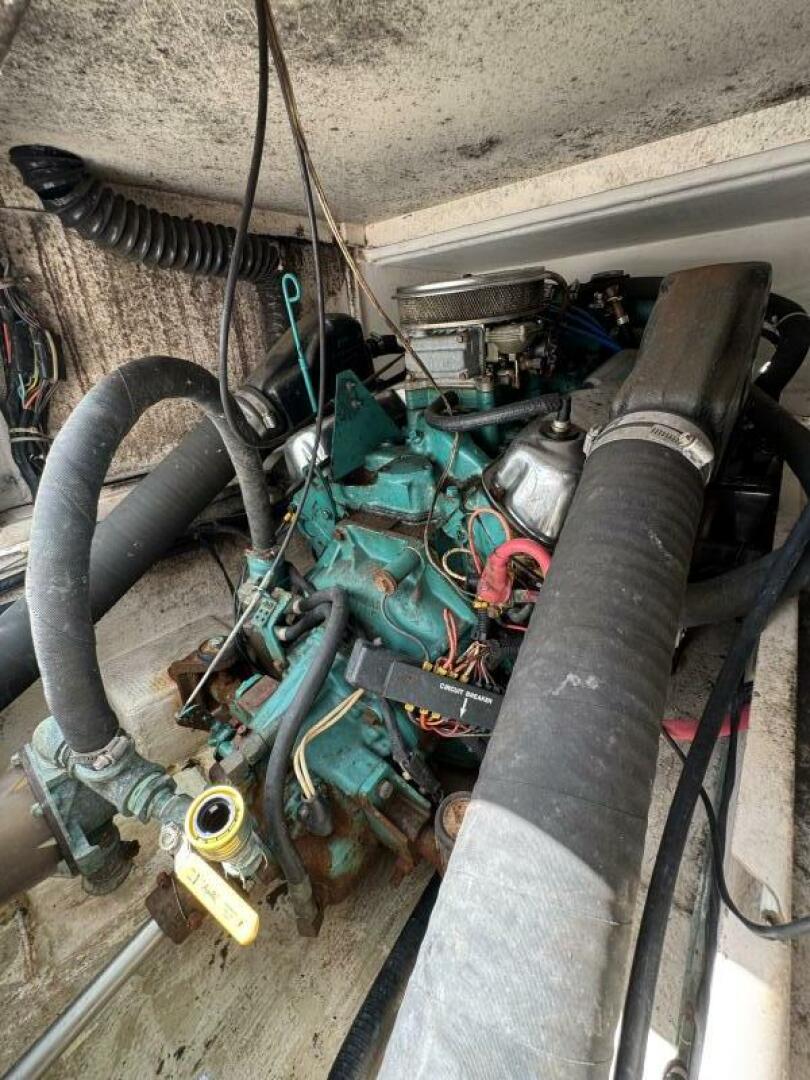 Slide: The Image of Shamrock 20 1991 - 5347653