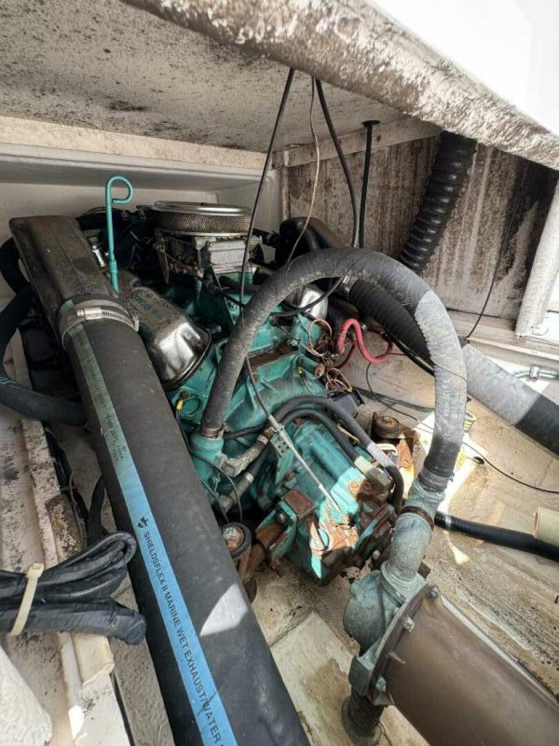 Slide: The Image of Shamrock 20 1991 - 5347654