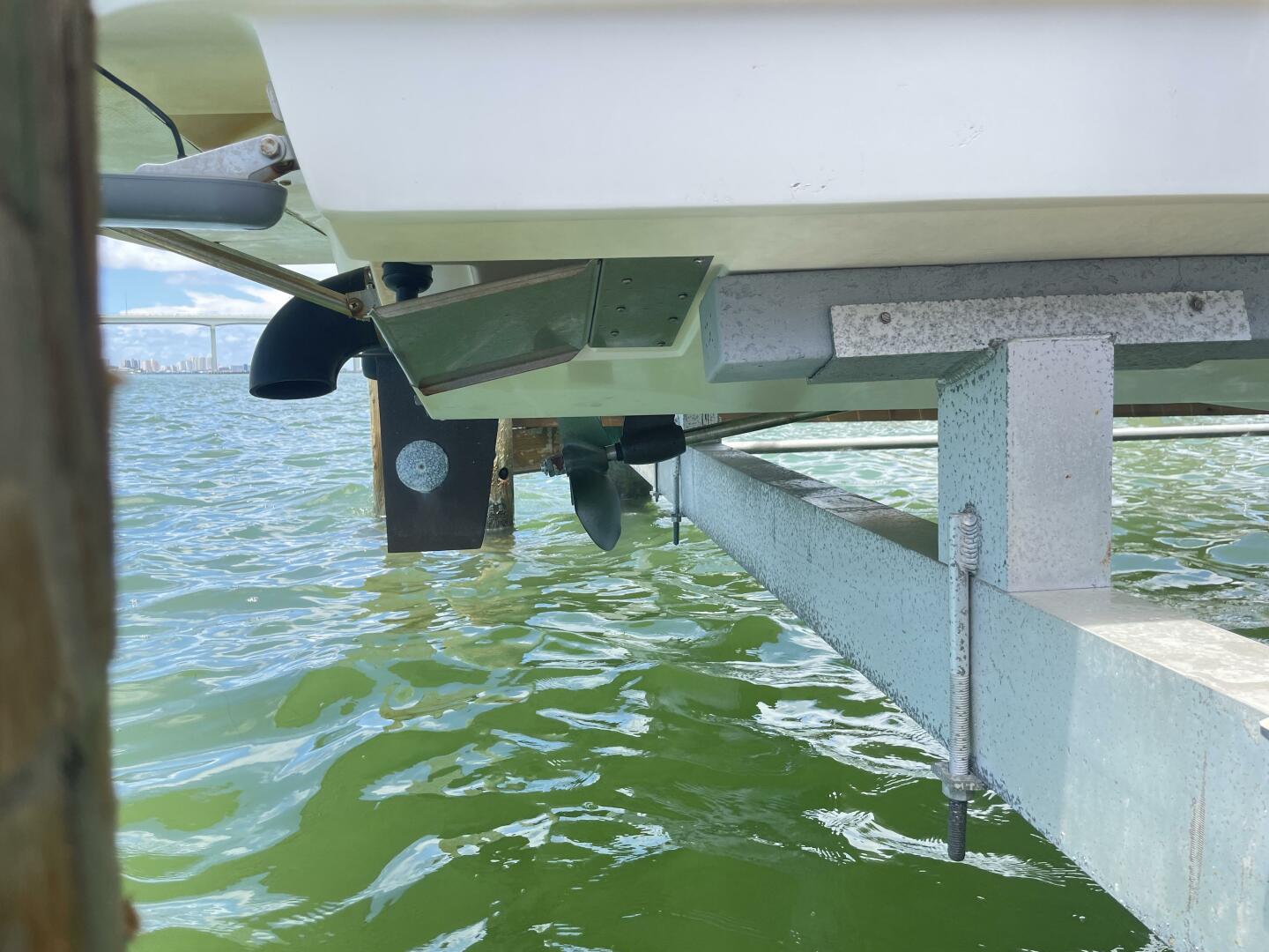 Slide: The Image of Shamrock 246 Open Fish 2005 - 4512120