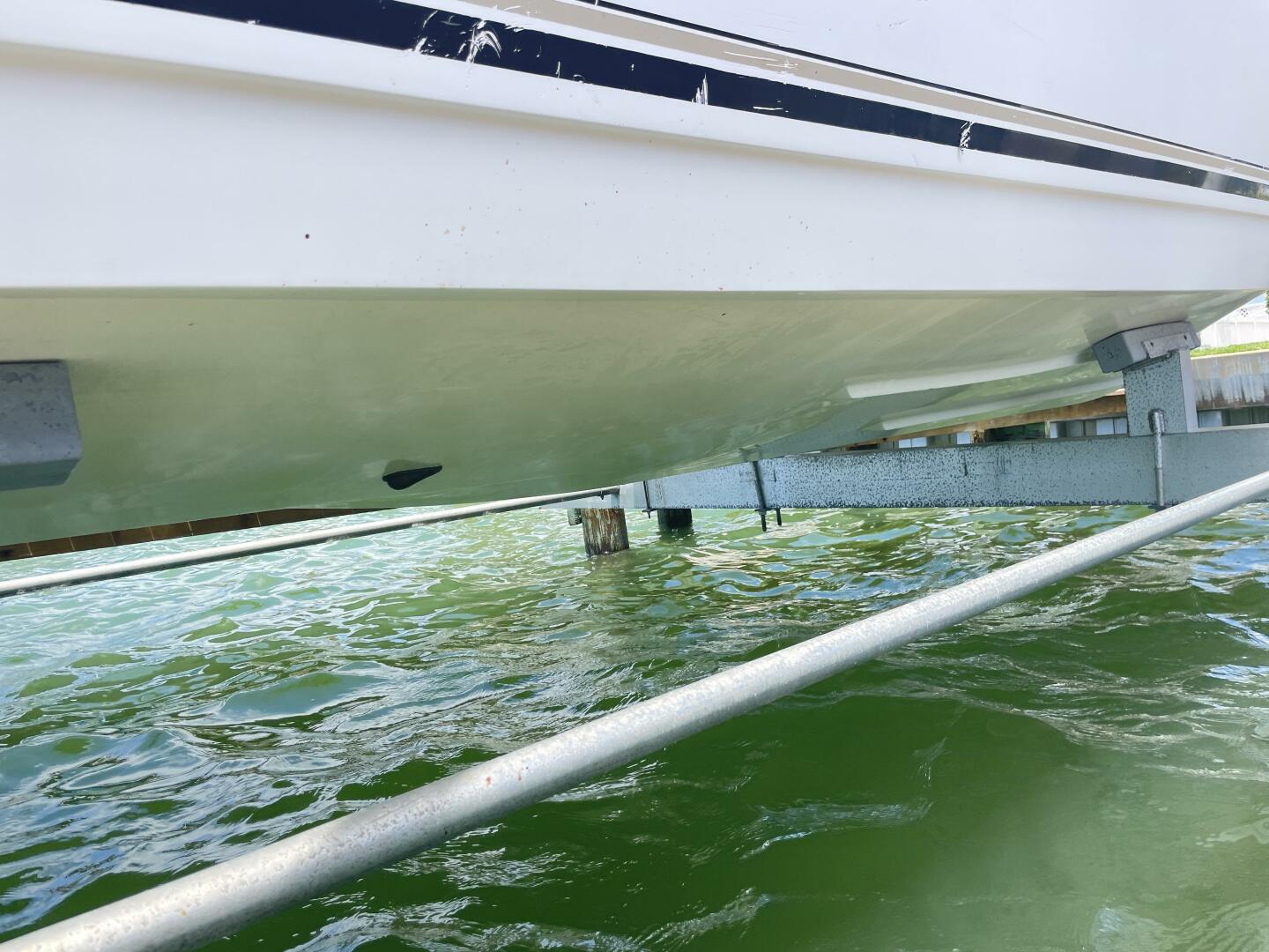 Slide: The Image of Shamrock 246 Open Fish 2005 - 4512121