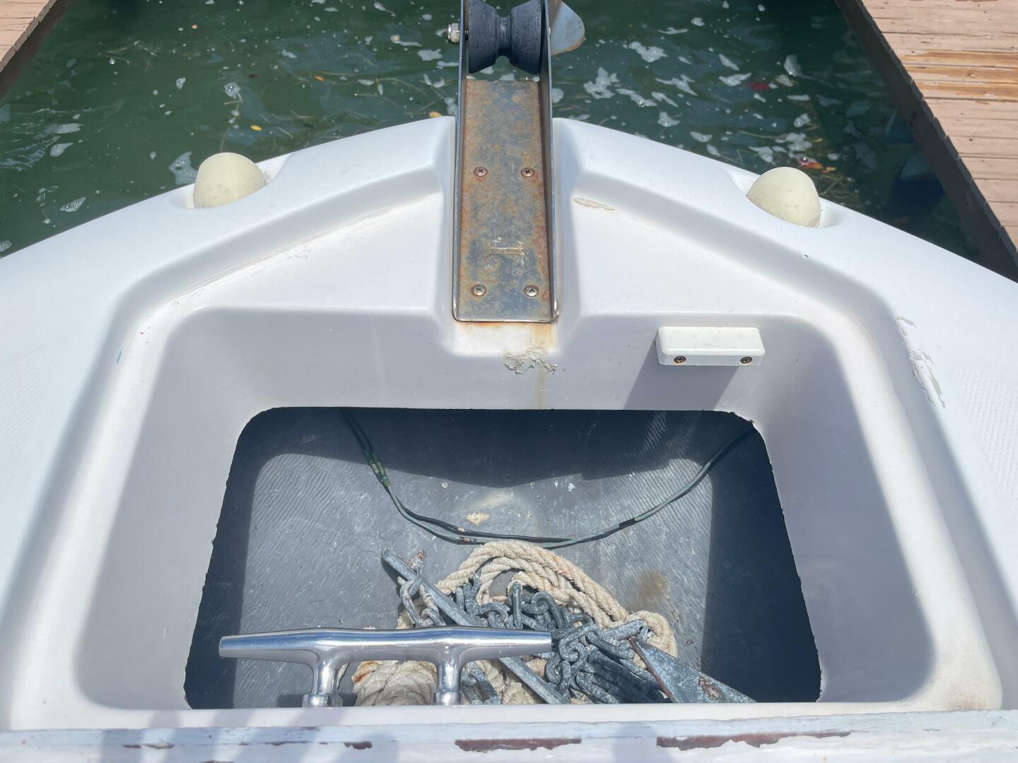 Slide: The Image of Shamrock 246 Open Fish 2005 - 4512122