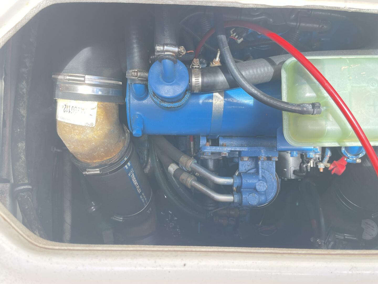 Slide: The Image of Shamrock 246 Open Fish 2005 - 4512155