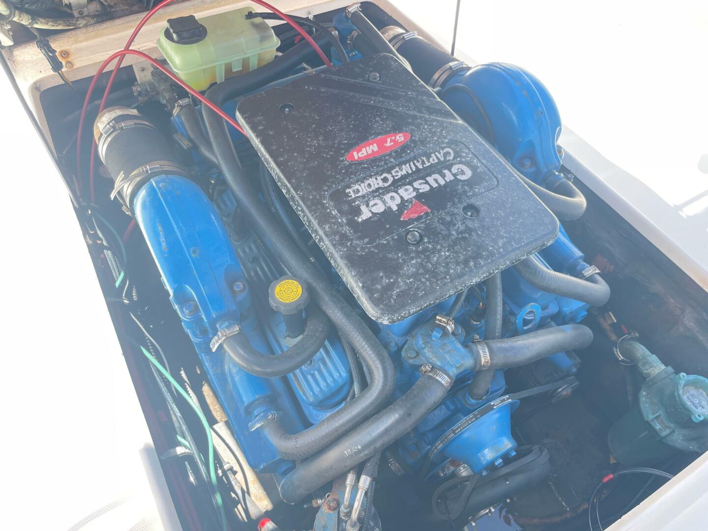 Slide: The Image of Shamrock 246 Open Fish 2005 - 4512156