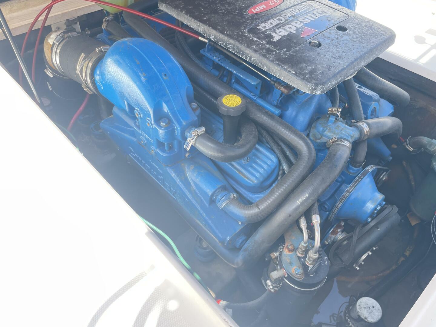 Slide: The Image of Shamrock 246 Open Fish 2005 - 4512157