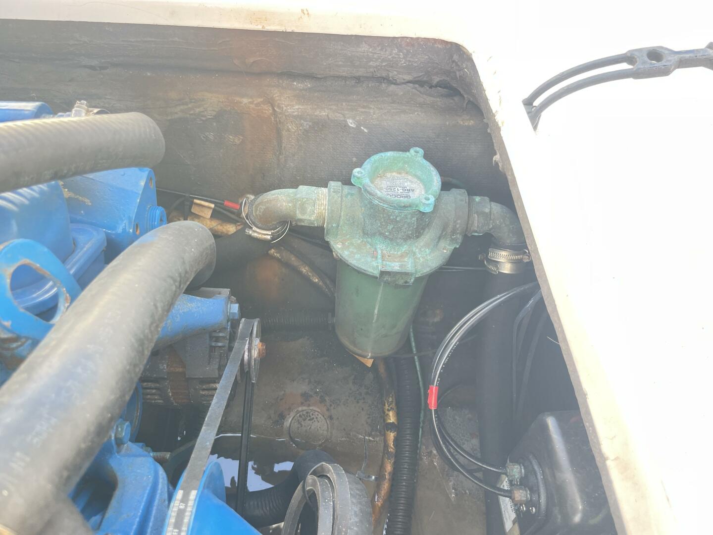 Slide: The Image of Shamrock 246 Open Fish 2005 - 4512158