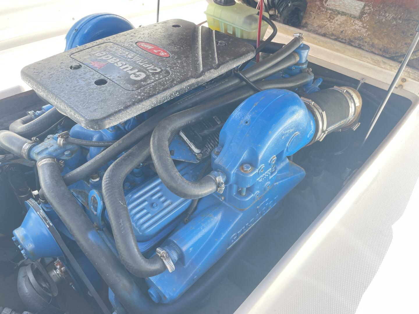 Slide: The Image of Shamrock 246 Open Fish 2005 - 4512159