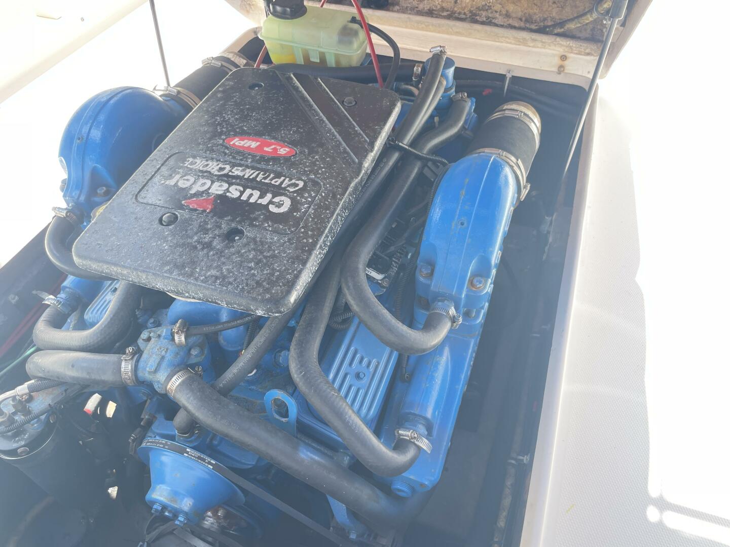 Slide: The Image of Shamrock 246 Open Fish 2005 - 4512160