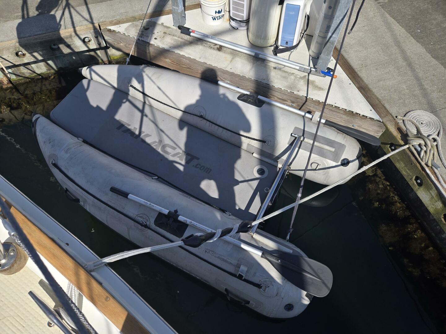 Slide: The Image of Shannon PH Cutter 1980 - 5271017