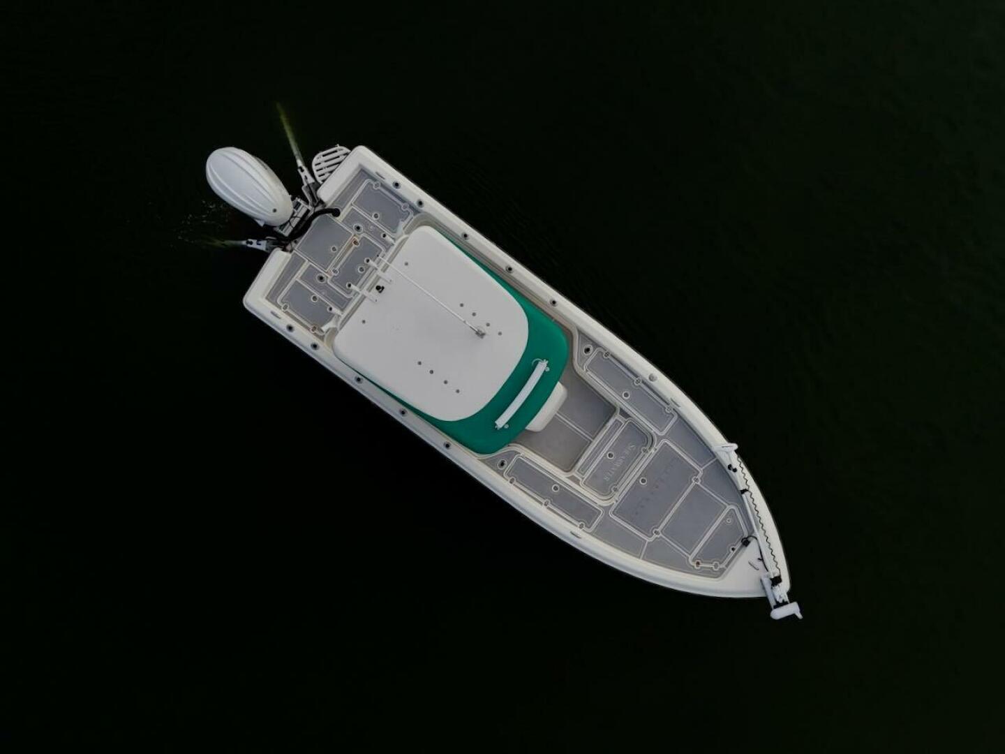 Slide: The Image of ShearWater 25 2009 - 5475916