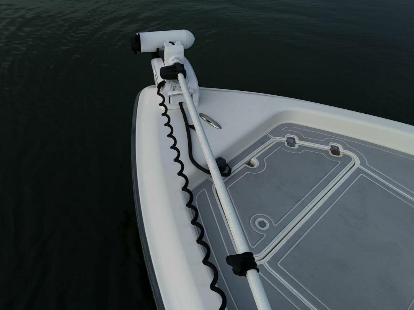 Slide: The Image of ShearWater 25 2009 - 5475918