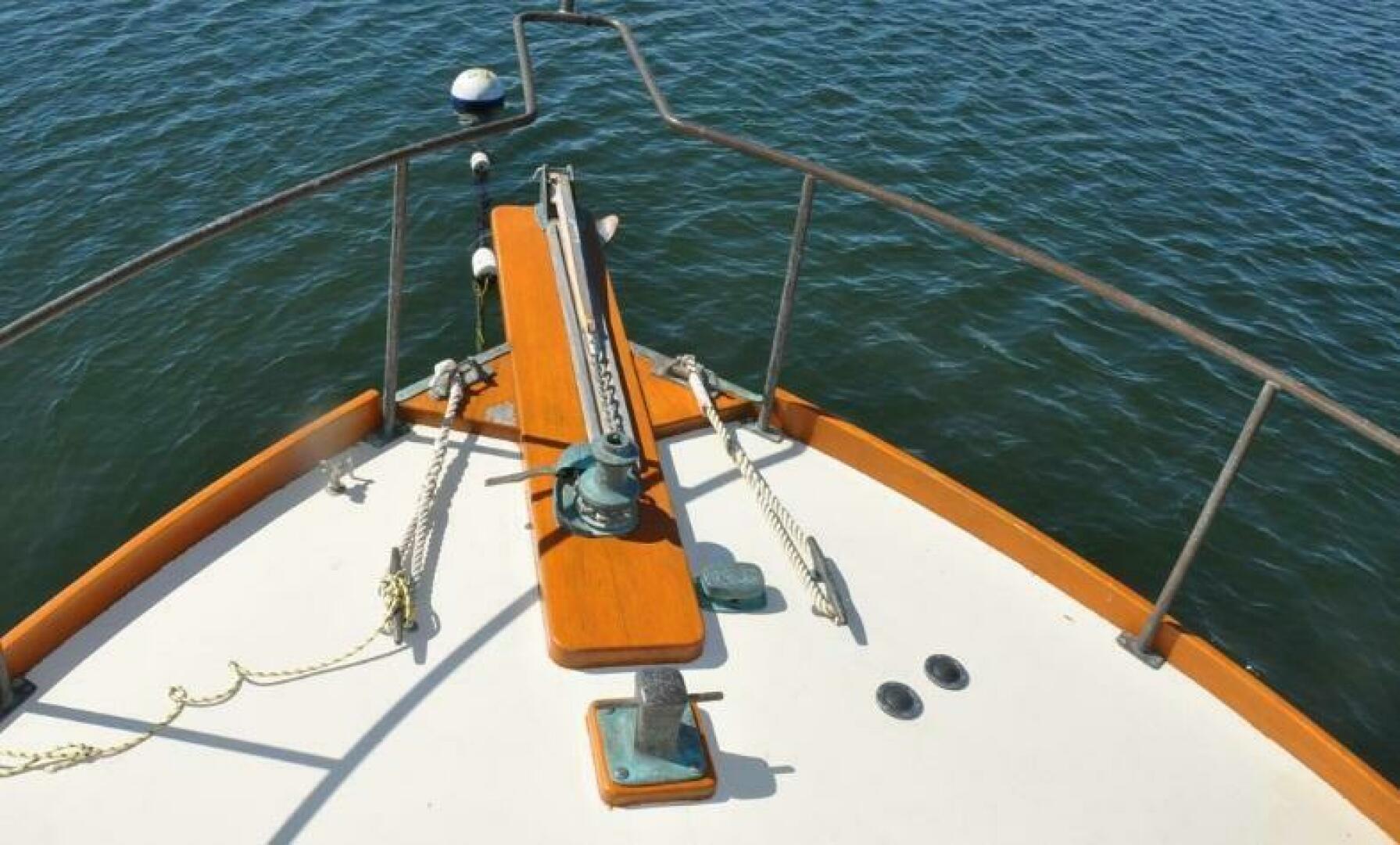 Slide: The Image of Shearwater 38 2003 - 5145222