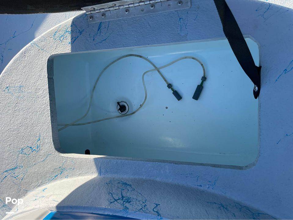 Slide: The Image of Shoalwater 23 Cat 2019 - 12119227