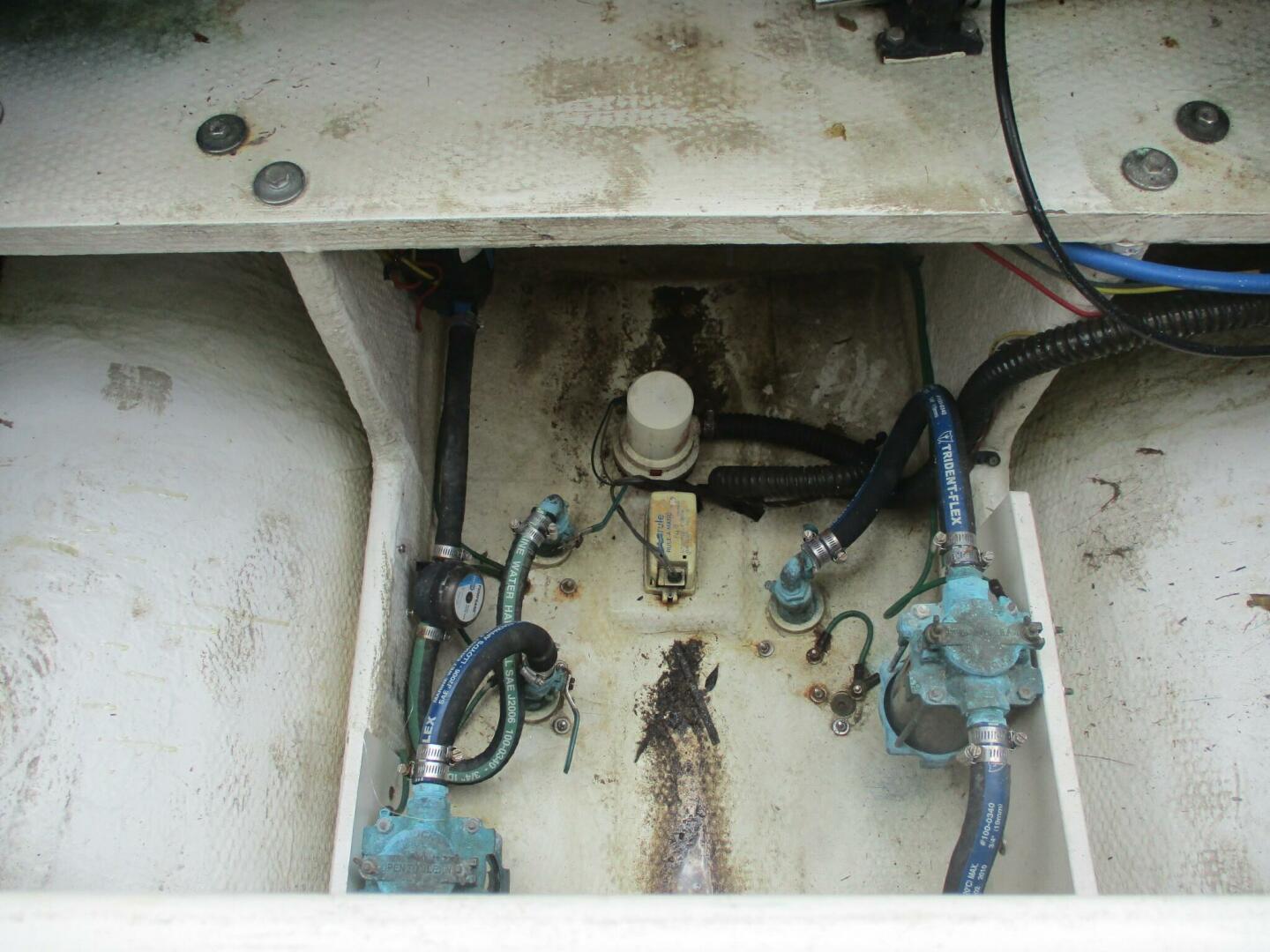 Slide: The Image of Silverton 33 2007 - 4334219