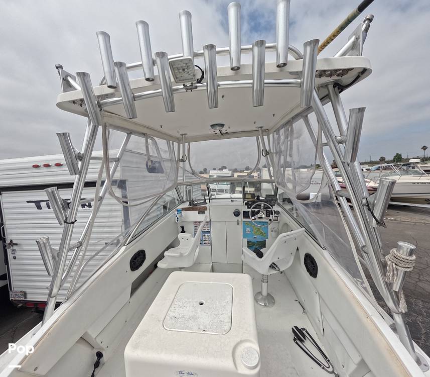 Slide: The Image of Skipjack 24 1979 - 15584224